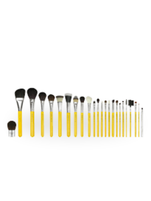 BDELLIUM 24PC BRUSH SET